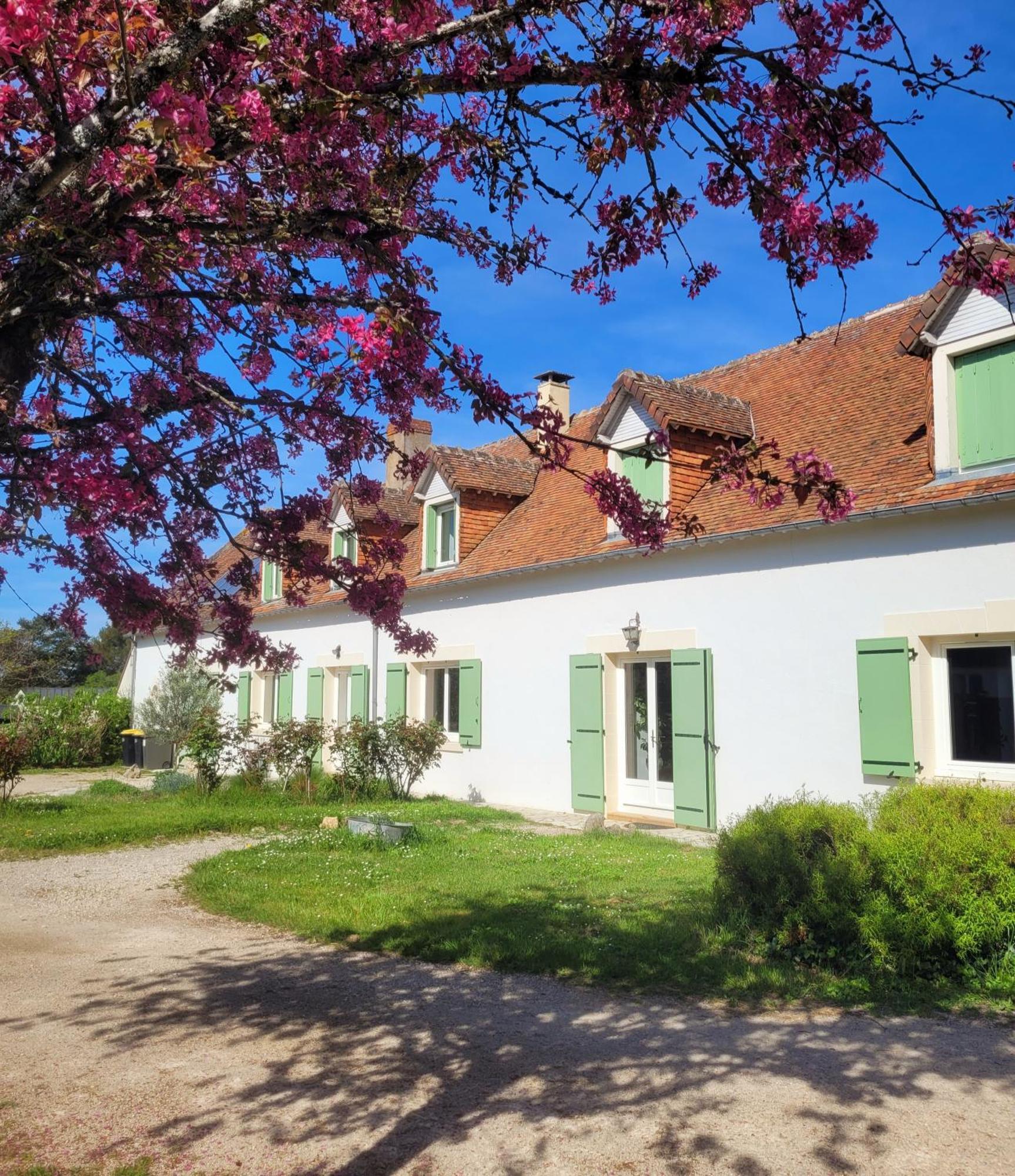 L Amalia Au Coeur Des Chateaux De La Loire Et Du Zoo De Beauval Sambin Eksteriør bilde